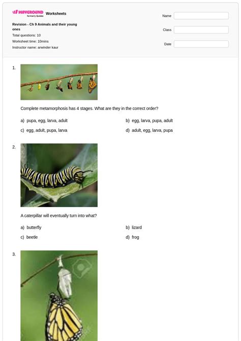 50+ Animals and Their Young worksheets for Kindergarten on Wayground ...