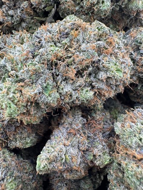 Buy Tom Ford Rockstar - (Pressure Farms BC) Online at ZenCo