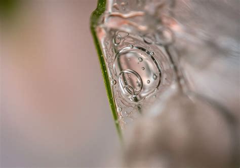 What Is the Leaping Bunny Standard? → Learn