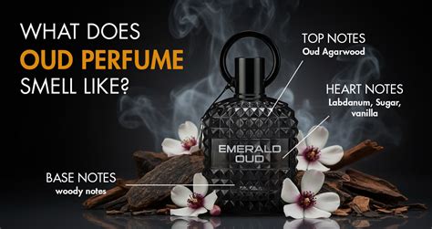 What Does Oud Perfume Smell Like? A Complete Guide to the Scent of Oud ...