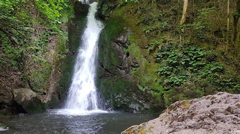 EVCEK BUNGALOV (Duzce) - Cottage Reviews & Photos - Tripadvisor