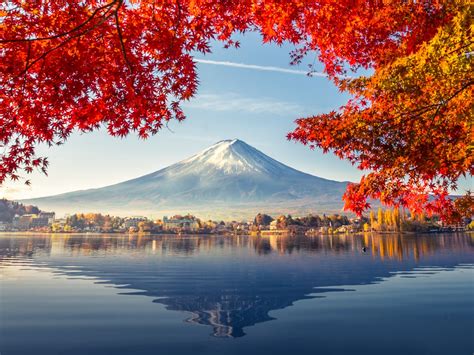 Cruises – Cruise Vacations – Find Best Cruises - Princess Cruises