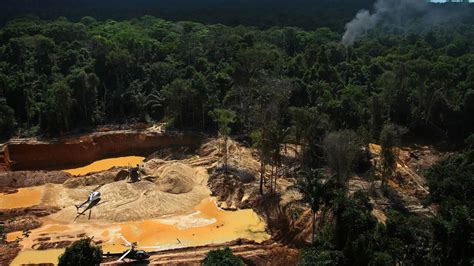 Indigenous Amazon groups call on UN to address organized crime threats