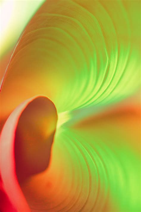 Sensation vs. Vibration - What's the Difference? | This vs. That