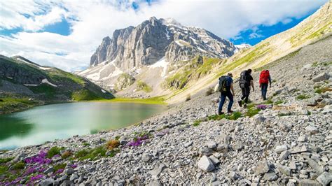 Climate change cuts mountain snow by nearly 60% in 40 years | National | stonecountyenterprise.com
