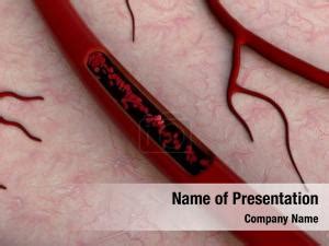 Circulatory System PowerPoint Template - Circulatory System PowerPoint ...
