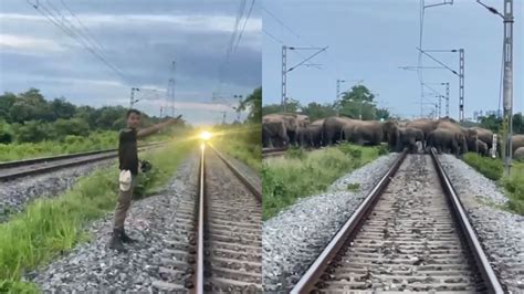 Alert forest staff avert disaster as Rajdhani Express approaches ...