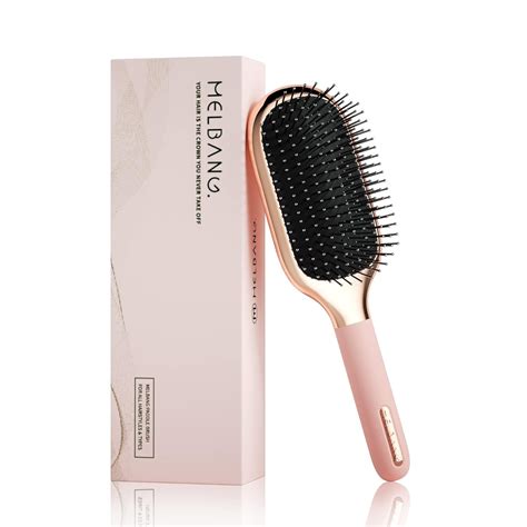 Hair Brush for Thick Curly Thin Long Short Wet or Dry Hair Adds Shine ...