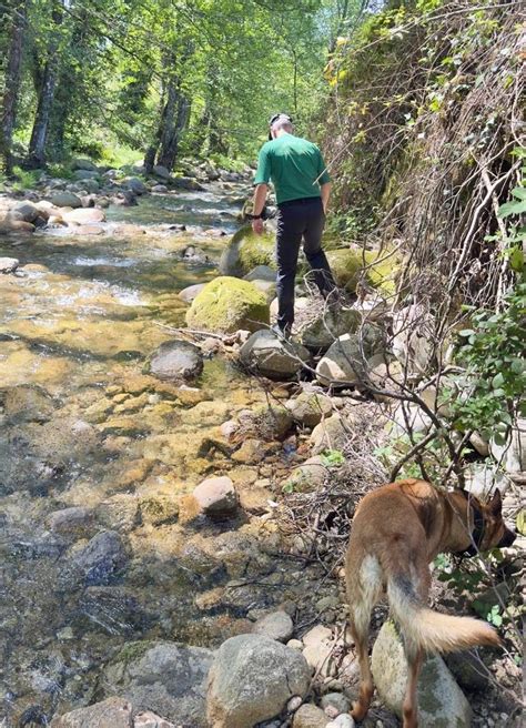 Search for missing 74-year-old man in Jarandilla de la Vera continues for fifth day | News ...