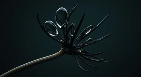 Ecological Engineering → Intermediate