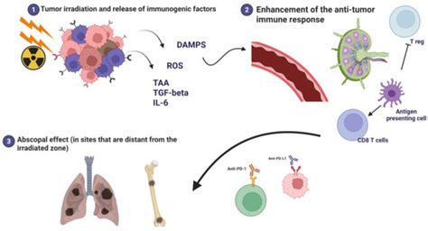 Unexpected Therapeutic Implications: The Abscopal Effect in the ...
