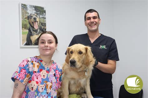 Vet nurses reach new heights | WD News Publications | Local News covering Sport, Council ...