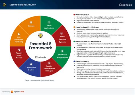 Xero Implementation, Migration & Integration | Cohesis