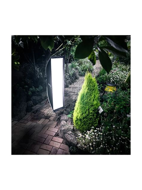 Vendita Smdv Speedbox-Flip Strip 35X150