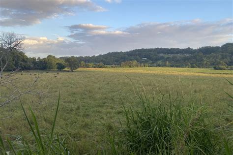 Momentum builds for hinterland to coast trail