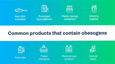 Can Obesogens Cause Weight Gain? - Million Marker Blog