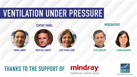 Sepsis in Immunosuppressed Patients: Pathophysiology, MDR Risk, and IgM ...