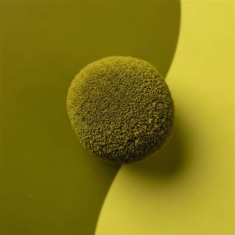 Fiber Structure Interaction · Theme