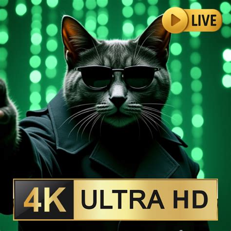 Pink Cat Wallpapers and Cute Kitten Animated Style Backgrounds for ...