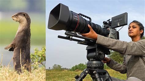 A filmmaker’s journey with the otters of the Cauvery