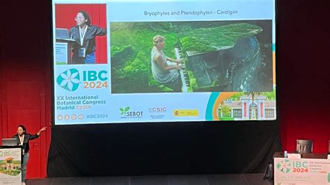 Popular Brazilian Songs