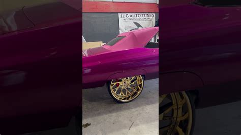 Chevy Vert on gold Forgios in the lab at Jughead