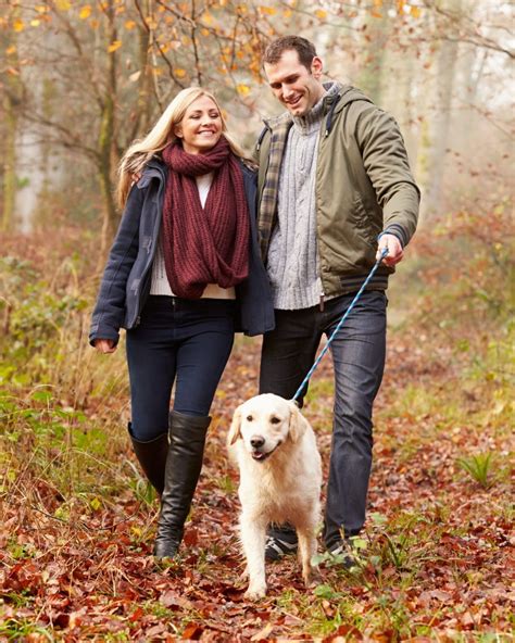 On 5 April 2026, the current tax year will end, and the new one will start the following day ...