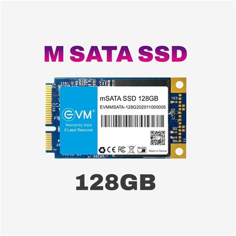 EVM MSATA 128 GB Laptop, All in One PC's, Desktop Blue mSATA Internal ...