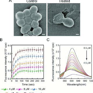 (PDF) A prospective antibacterial for drug-resistant pathogens: a dual ...