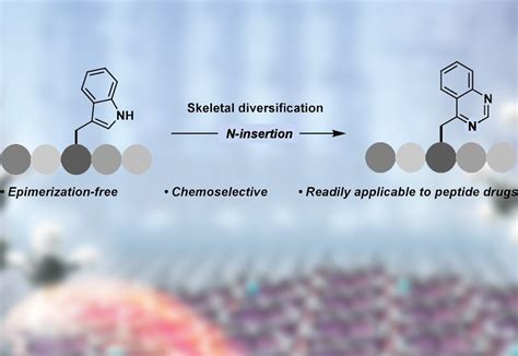 Tryptophan Transformation Reflecting work in the Grob and Morandi Labs ...