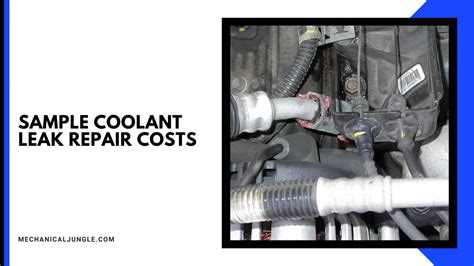 Cost Of Coolant Leak Repair All Images & Video Clips #627