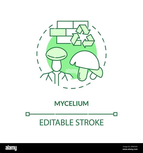 Growth mushroom mycelium in Stock Vector Images - Alamy