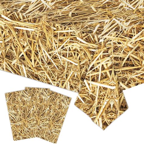 3-Piece Plastic Hay Bale Tablecloth, 54x108 Inch Disposable Farmhouse ...