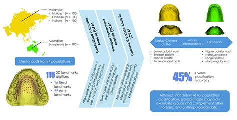 Three-Dimensional Variation of the Human Hard Palate Across Populations ...