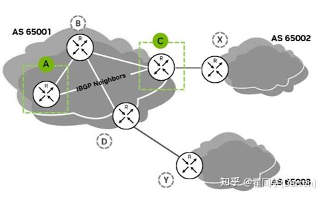 NCP-AIN Spectrum-X Cumulus Linux BGP - 知乎