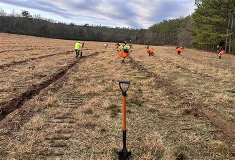 Google, Meta, McKinsey Ink U.S. Reforestation-Based Carbon Removal ...