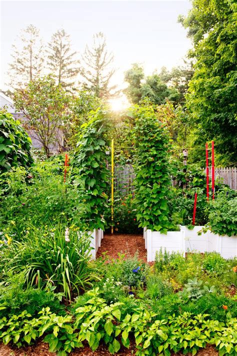 12 permaculture gardening tips for making your yard more self-sustaining