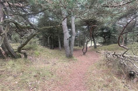 Ferienhaus 25-5053 in Vejers Strand | Dänemark.Guide