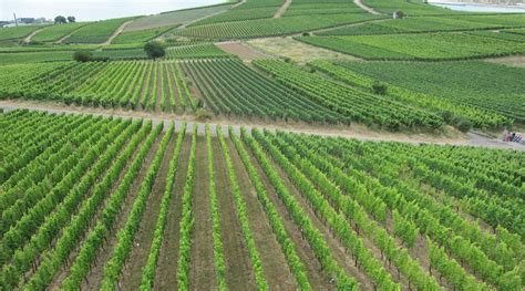 FEWO GELNHAUSEN (Grundau) - Lodging Reviews & Photos - Tripadvisor