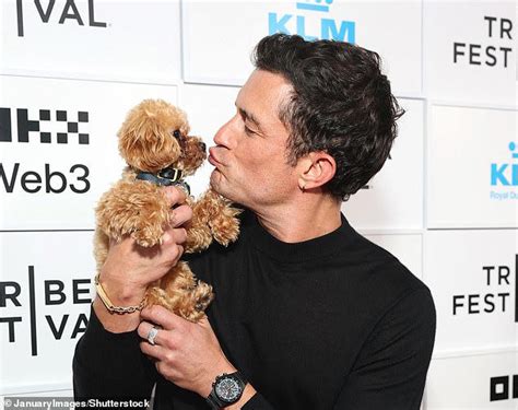 Man's tiny best friend! Expert says owning a small dog is now the ...