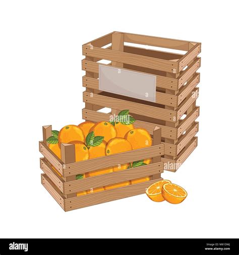 Ripe orange juicy full Stock Vector Images - Alamy