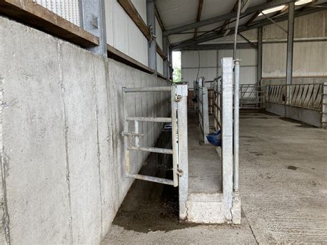 HSA to launch livestock handling inspection campaign - Agriland.ie