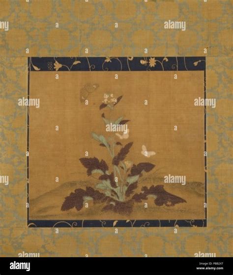 Pollinator species illustration hi-res stock photography and images - Alamy