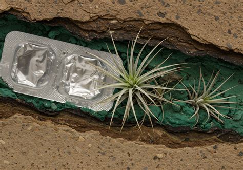 Why Are Type I Labels Considered More Consumer-Friendly than Type III ...