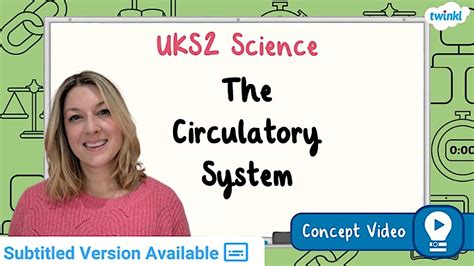 The Circulatory System | KS2 Science Concept Video