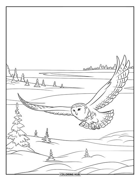 100+ Dibujos de animales del Ártico para colorear para niños y adultos ...