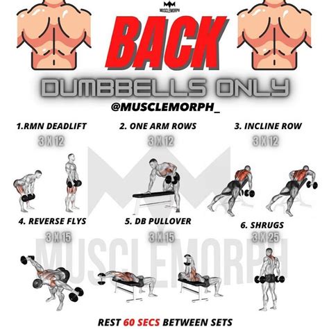 Printable Dumbbell Back Exercises - Printable Alphabet Tracing Sheets
