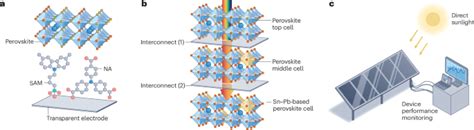 Key advances in perovskite solar cells in 2025 | Nature Reviews Clean ...
