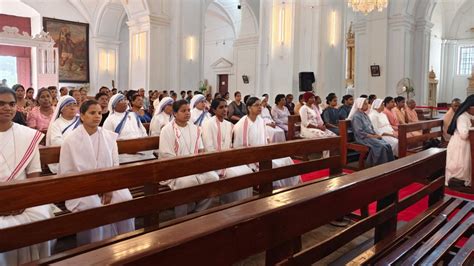 News | Catholic Connect