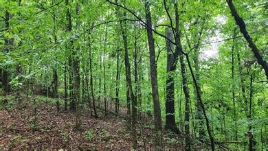 0 County Road 184, Athens, TN 37303 [Lot/Land] | Homes.com